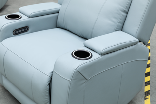 Aster Leather Lounge